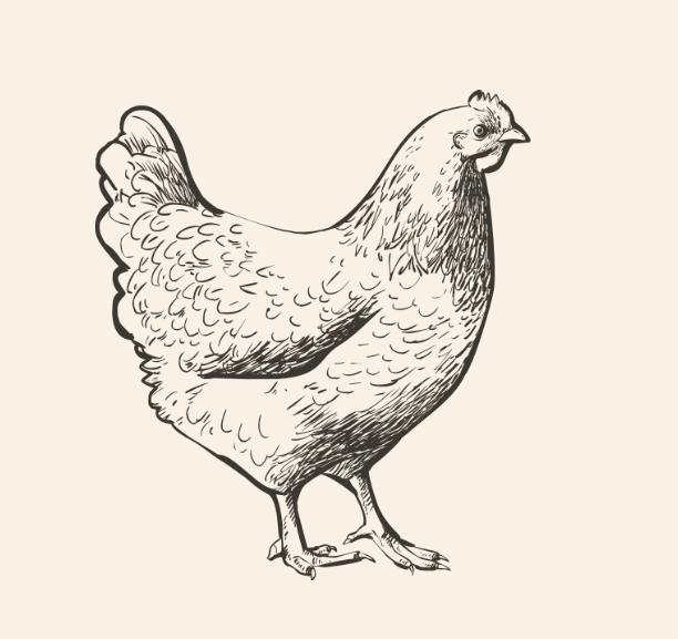 Bio Landhähnchen